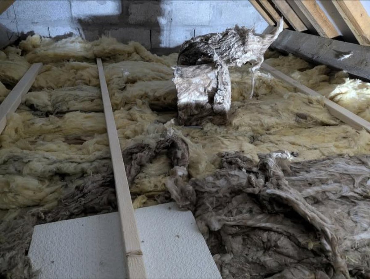 Loft Insulation Removal & Renewal — Ready Fix Property Maintenance